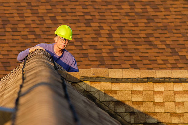 Best Slate Roofing Contractor  in Newark, IL