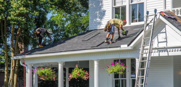 Best Roof Gutter Cleaning  in Newark, IL